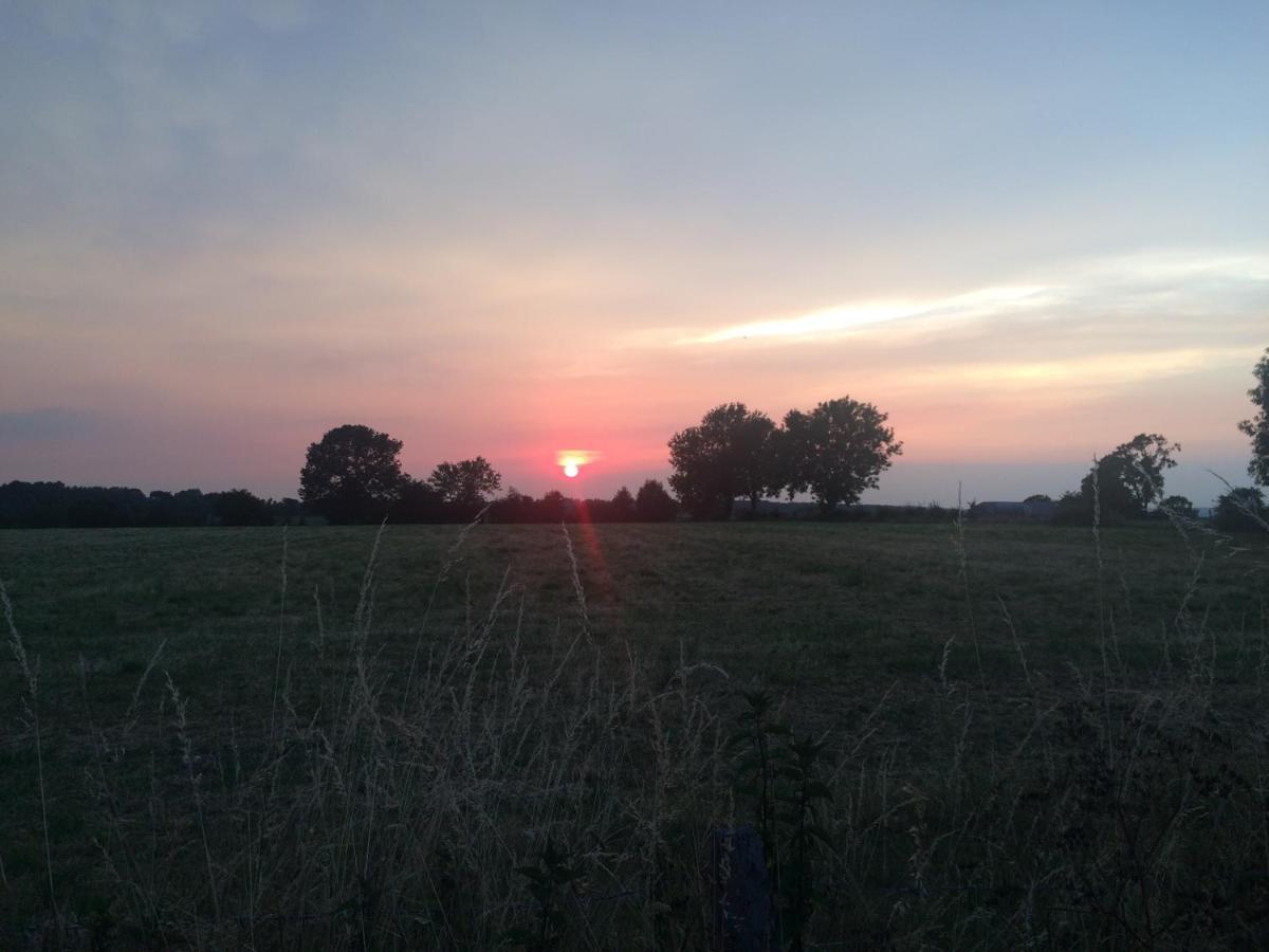 Des étangs à Montzen
